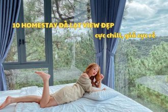 Top homestay Đà Lạt view đẹp cực chill, giá cực rẻ