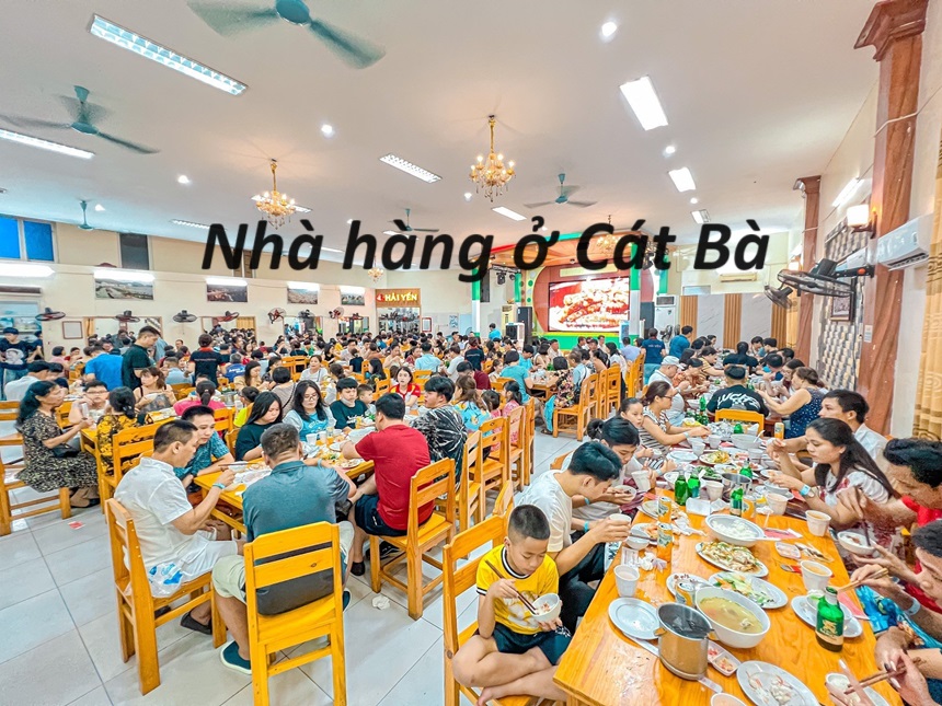 Địa chỉ nhà hàng Cát Bà đồ ăn ngon, giá rẻ, phục vụ chất lượng.