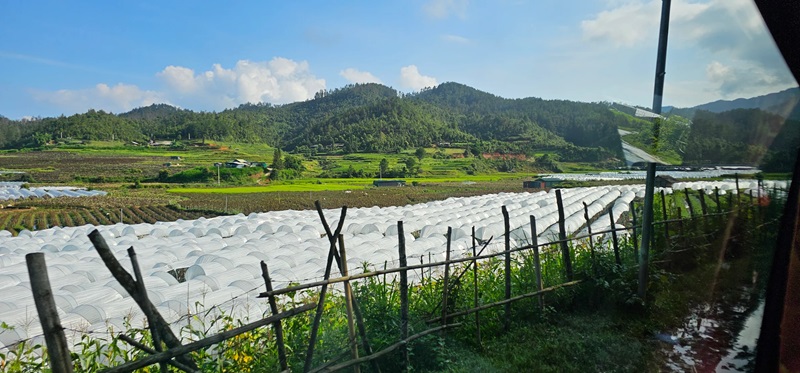 Đánh giá Mù Căng Chải Ecolodge.