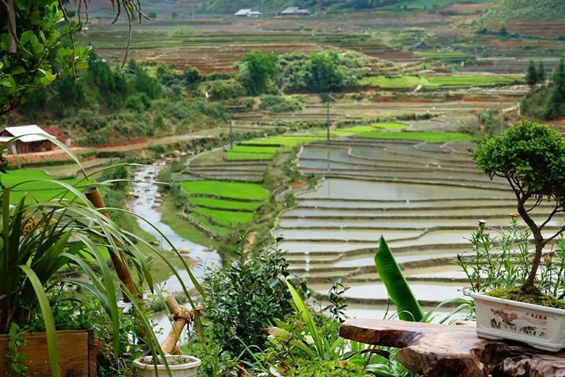 Đánh giá Mù Căng Chải Ecolodge.