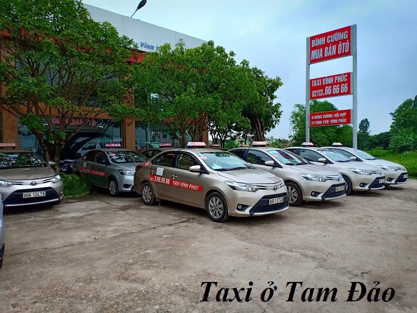 Các hãng taxi Tam Đảo giá rẻ, số điện thoại taxi ở Tam Đảo.